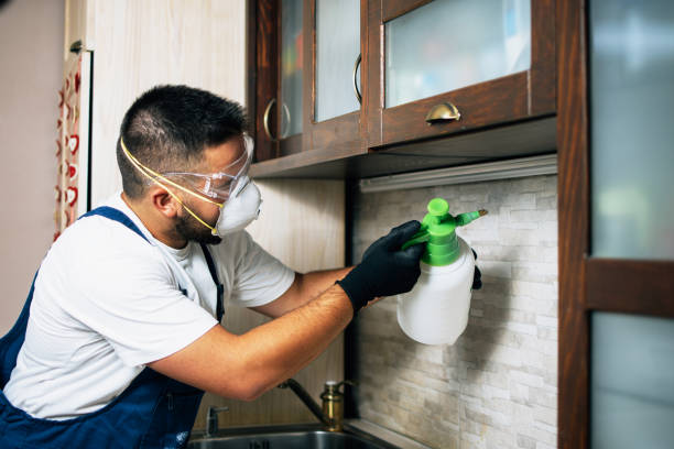 Best Commercial Pest Control Services  in Olympia Heights, FL