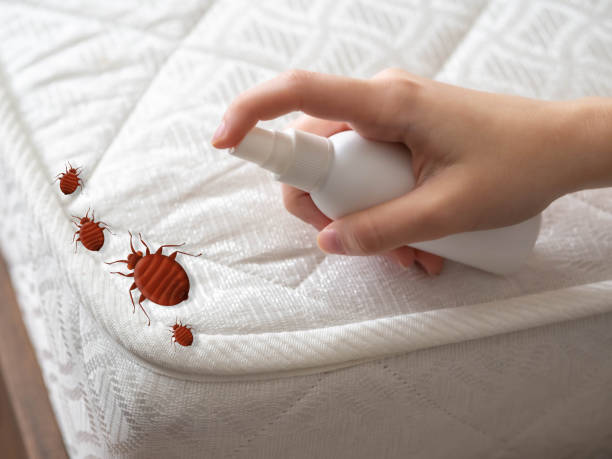 Best Local Pest Control Services  in Olympia Heights, FL